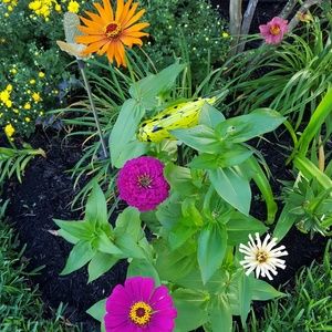 Meet your Posher, Ulisa